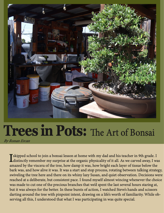 Article by Ronan Ercan